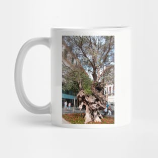 Olive Tree Mug